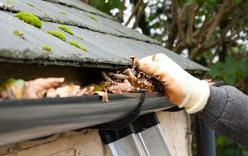 gutter cleaning Llandevenny, Monmouthshire